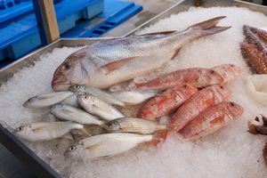 Imagen de Pescados de Ibiza y Formentera: especies locales y cómo cocinarlas